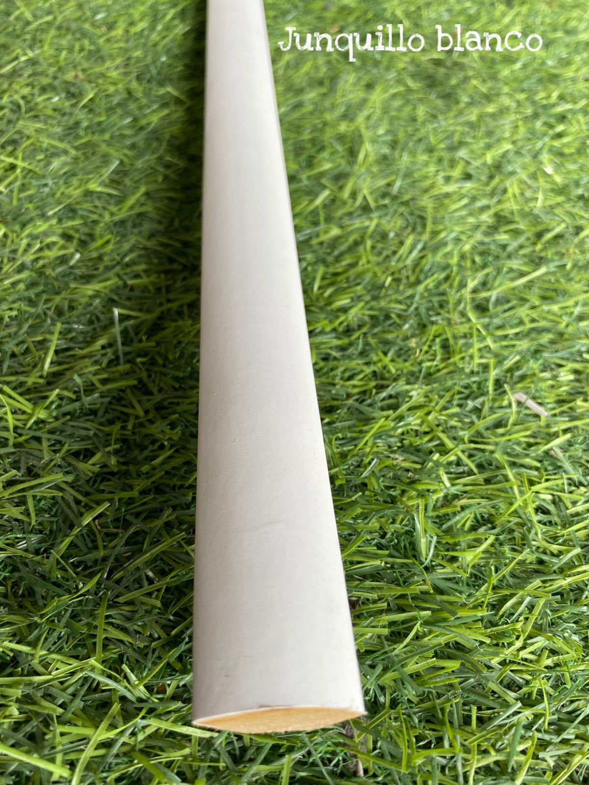 Moldura Junquillo Blanco